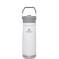 22 oz Stanley® Stainless Insulated Flip Straw Water Bottle