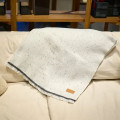 La Cruces Woven Linework Throw Blanket