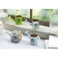 Mini Watering Can Blossom Kit