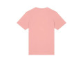 Stanley/Stella Unisex Crafter Tee