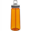 Classic 22 oz Sports Bottles w/ Straw