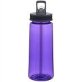 Classic 22 oz Sports Bottles w/ Straw