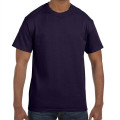 Gildan 5.3 oz 100% Preshrunk Cotton T-shirt w/ Custom Logo