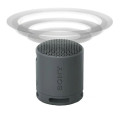 Sony® XB100 Bluetooth Speaker Powerful Sound IP67 Waterproof