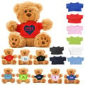 6" Plush Teddy Bear With Choice of T-Shirt Color