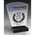 Freedom Acrylic Award