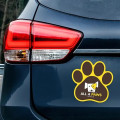Paw Print Car Magnet 5.75 x 5.75