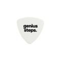 Guitar Pick