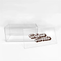 8"L x4"W x 4"H Clear Plastic Box