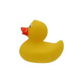 Promo Duck