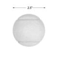 Pet Toy Tennis Ball