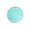 Pet Toy Tennis Ball