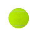 Pet Toy Tennis Ball