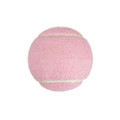 Pet Toy Tennis Ball
