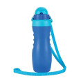 Remi 18 oz. Double Wall Polypropylene Water Bottle