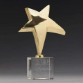 Rising Star Award