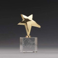 Rising Star Award