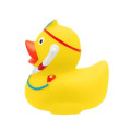 Healthcare Doctor Rubber Duck