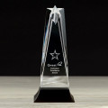 Star Tower Award