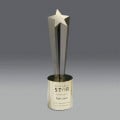 Shooting Star Award