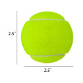 Heavy Duty Chew Proof Dog Ball - 2.5 Inch
