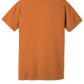 Bella + Canvas Unisex Jersey Short-Sleeve T-Shirt