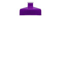 Garyline® Mini Bottle with Push-Pull Lid - 16 oz.