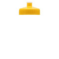 Garyline® Mini Bottle with Push-Pull Lid - 16 oz.