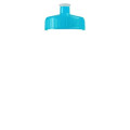 Garyline® Clear Bottle with Push-Pull Lid - 20 oz.