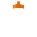 Garyline® Clear Bottle with Push-Pull Lid - 20 oz.