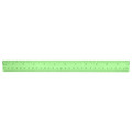 Plastic Colored Transparent Rulers