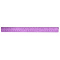 Plastic Colored Transparent Rulers