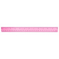 Plastic Colored Transparent Rulers