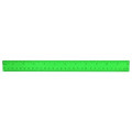 Plastic Colored Transparent Rulers