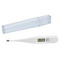 Digital Thermometer