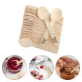 Rounded Wooden Ice Cream Spoons