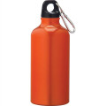 Li'l Shorty 17oz Aluminum Sports Bottle