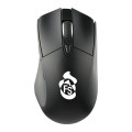 Wizard Wireless Mouse with Coating
