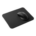 Wizard Wireless Mouse with Coating