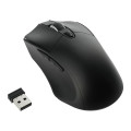 Wizard Wireless Mouse with Coating