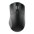 Wizard Wireless Mouse with Coating