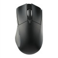 Wizard Wireless Mouse with Coating
