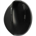 Wireless Ergonomics Optical Mouse