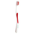 Toothbrush With Tongue Scraper