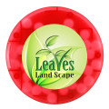 Round Puzzle Credit Card Mints