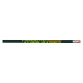 Budgeteer Pencil