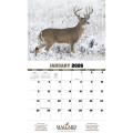 Products Trophy Whitetail Deer Appointment Calendar - Sta...