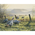 Triumph® Calendars Wildlife Art Calendar