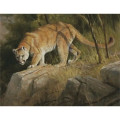 Triumph® Calendars Wildlife Art Calendar