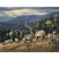 Triumph® Calendars Wildlife Art Calendar